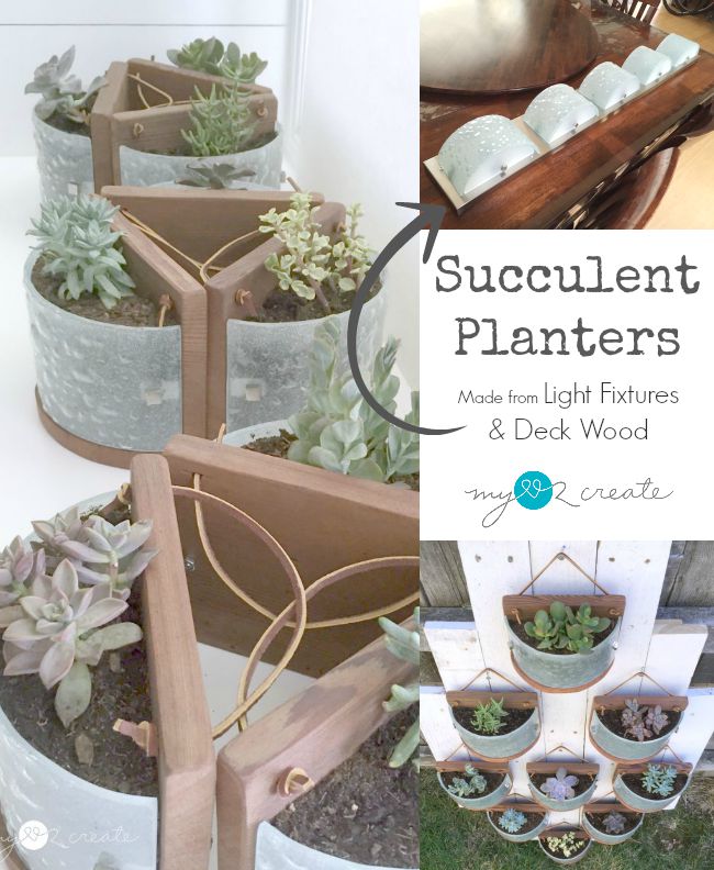 Succulent Planters from Light Fixtures