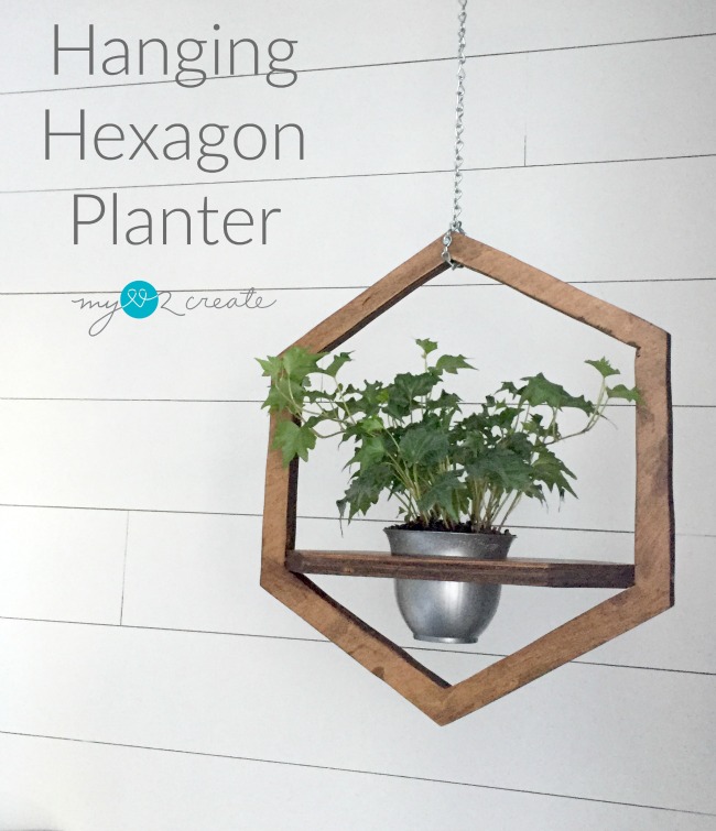 Hanging Hexagon Planter