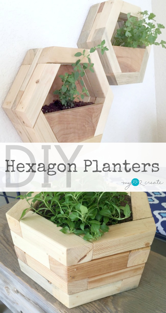 DIY Hexagon Planters