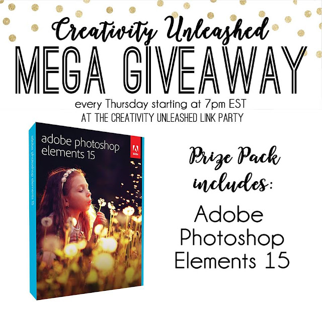 Adobe Photoshop Elements 15 Giveaway and Creativity Unleashed #171