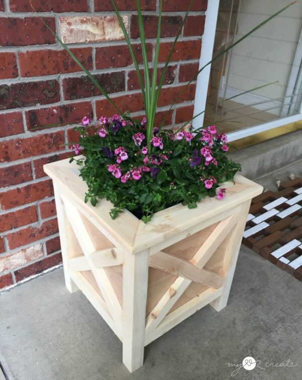 X Planter - Image 3