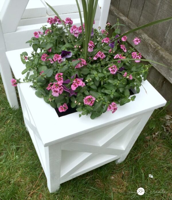 X Planter - Image 4